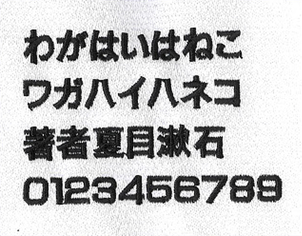 A2_太ゴシック体