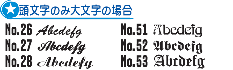 頭文字のみ大文字の場合